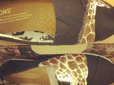 Giraffe Over Pair of Shoes